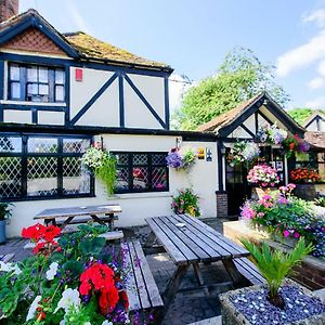 Ye Olde Red Lion